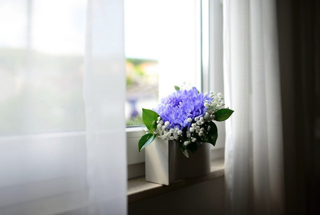 Flower Vase Window Curtains Room  - congerdesign / Pixabay