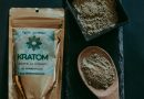 Fenomén kratom – zázračná bylina s blahodárnými účinky, nebo nebezpečná droga?